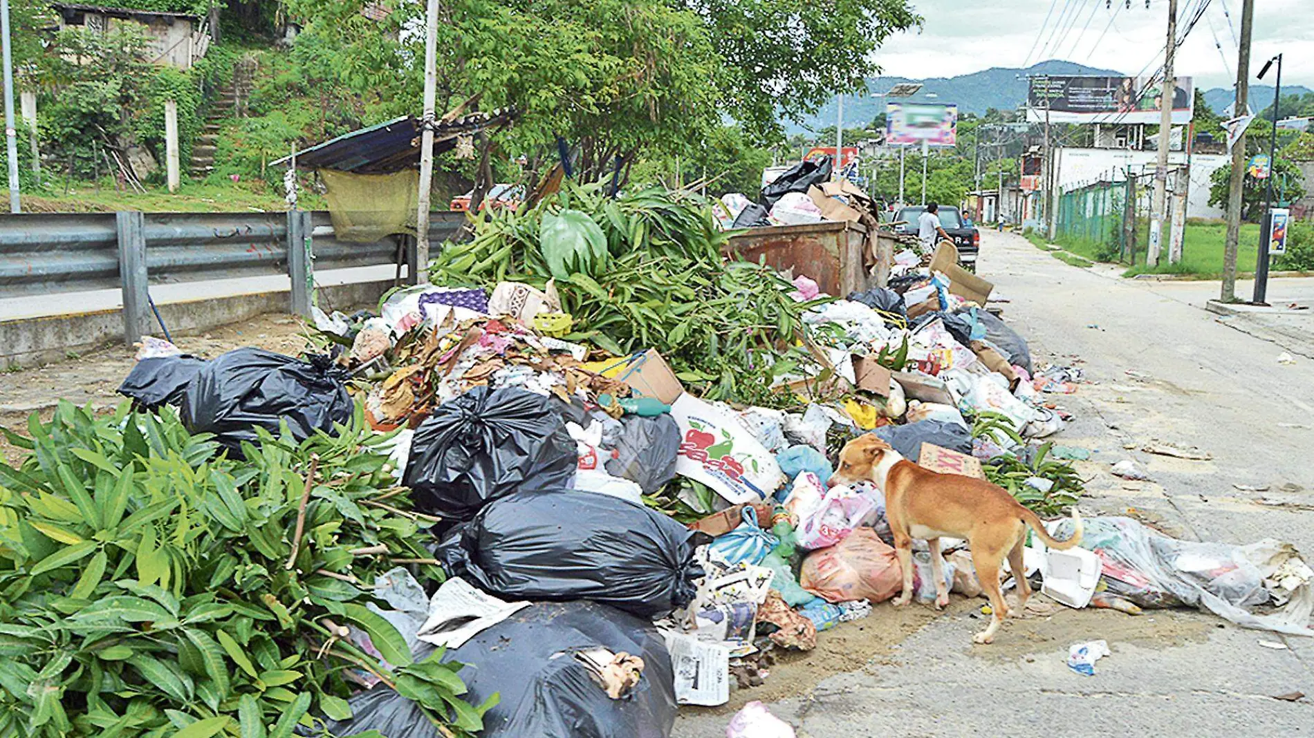 basura en Acapulco